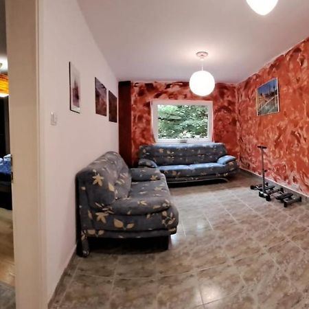 Daria Lorenzo Apartament Temeşvar Dış mekan fotoğraf