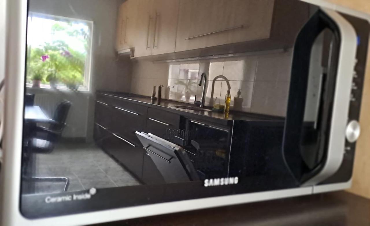 Daria Lorenzo Apartament Temeşvar Dış mekan fotoğraf