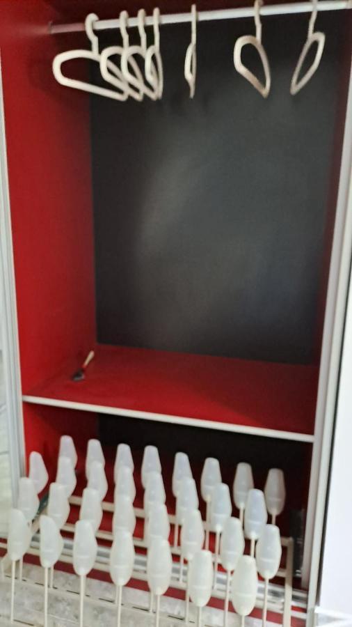 Daria Lorenzo Apartament Temeşvar Dış mekan fotoğraf
