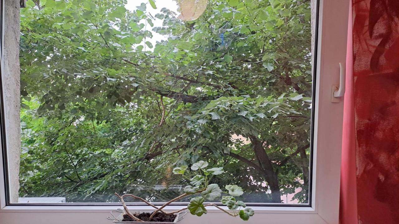 Daria Lorenzo Apartament Temeşvar Dış mekan fotoğraf