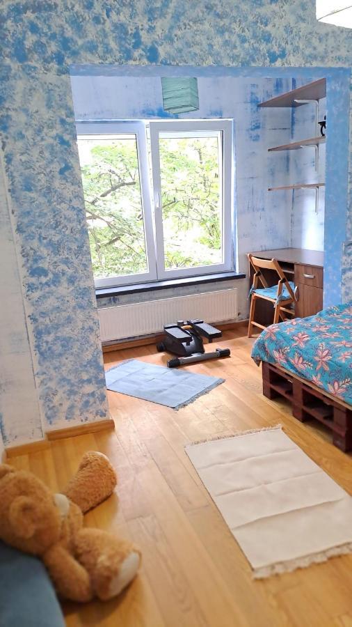 Daria Lorenzo Apartament Temeşvar Dış mekan fotoğraf