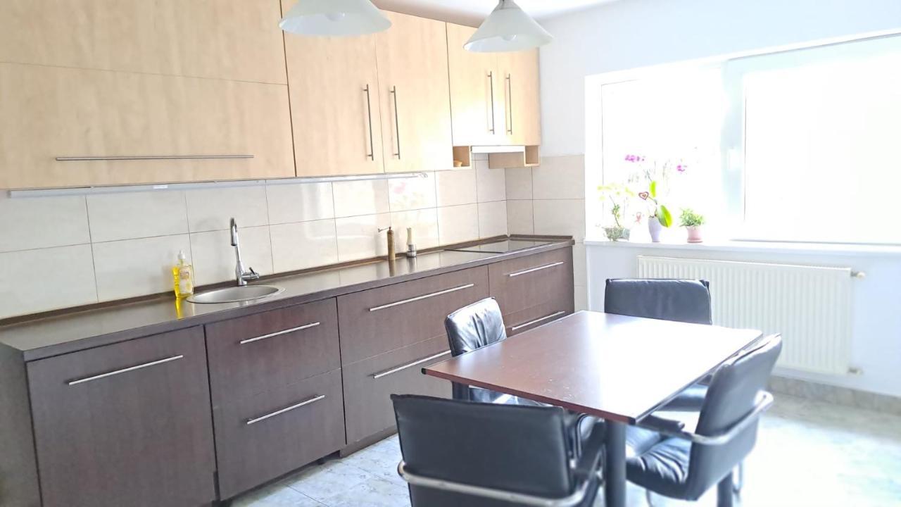 Daria Lorenzo Apartament Temeşvar Dış mekan fotoğraf